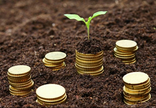 gold coins on earth